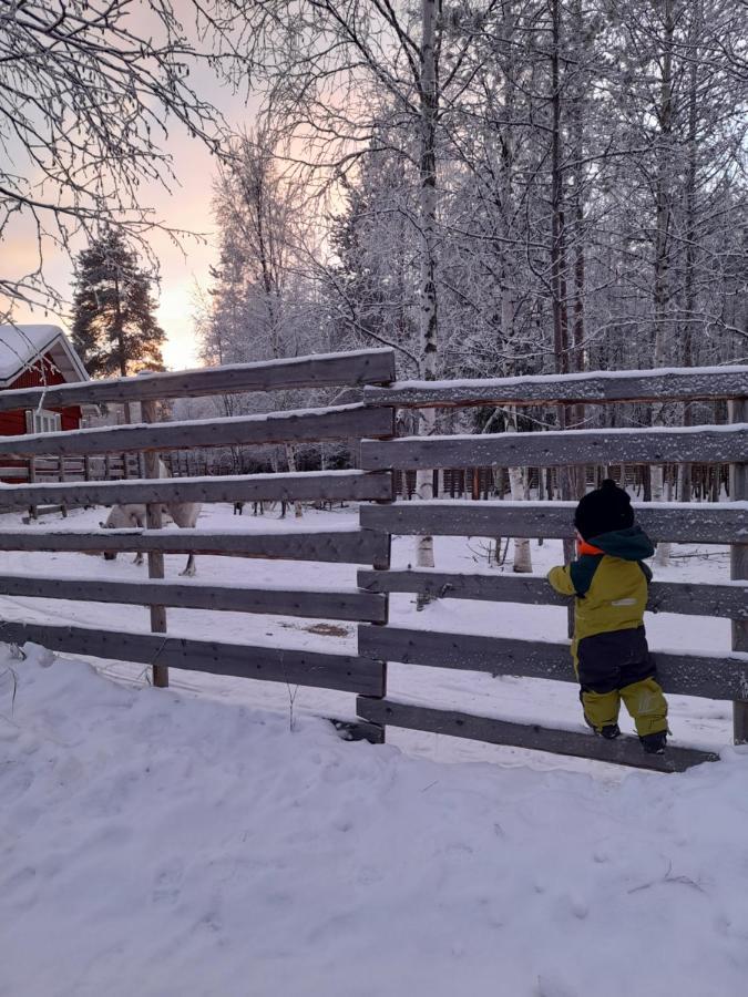 Villa Waltti Rovaniemi Exterior foto